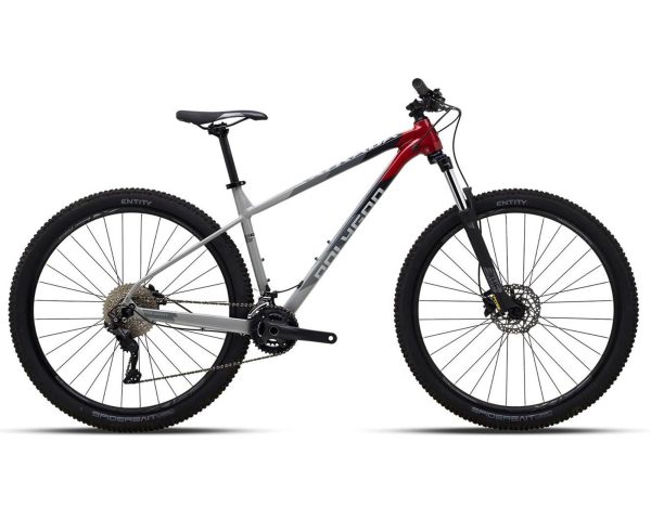 Polygon XTRADA 5, 29"